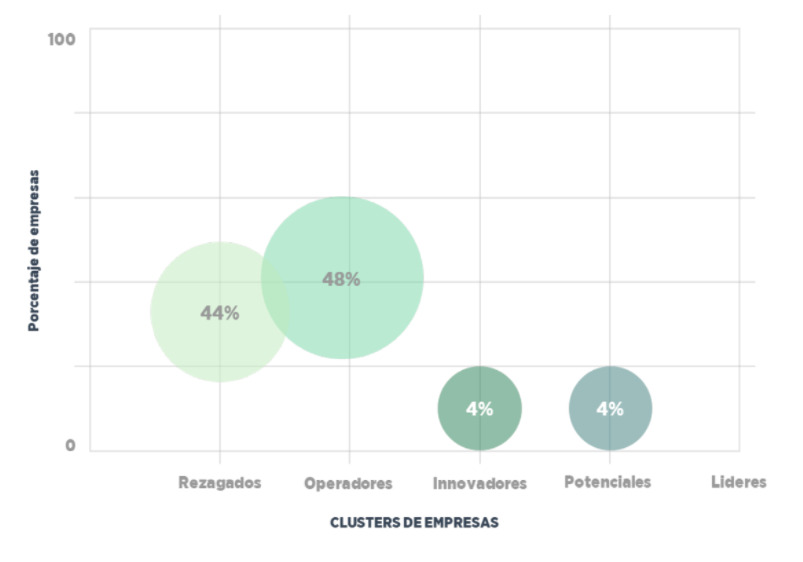 Digital Maturity Index 