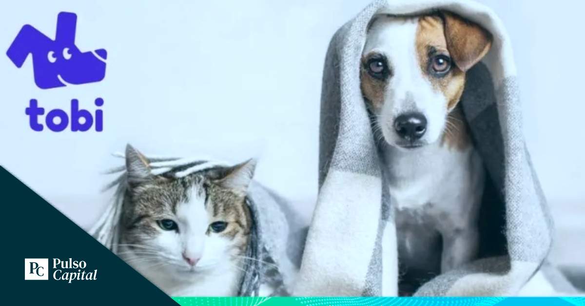 Tobi Bot Costa Rica: Tobipets se une a Leap Venture Studio | PulsoCapital.com